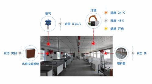 山東養(yǎng)豬場(chǎng)轉(zhuǎn)型升級(jí) 自動(dòng)化控制與智能化豬舍管理系統(tǒng)的實(shí)踐